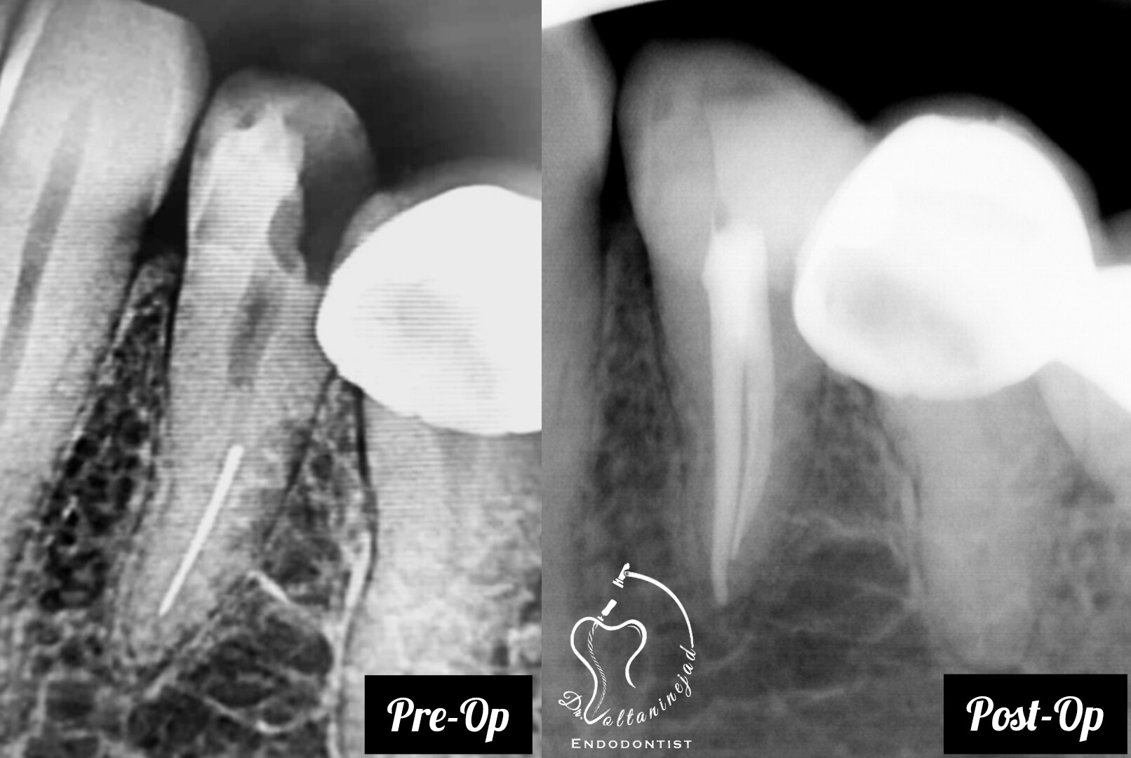 پیام پایانی